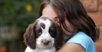 AKC puppy on girl's hands