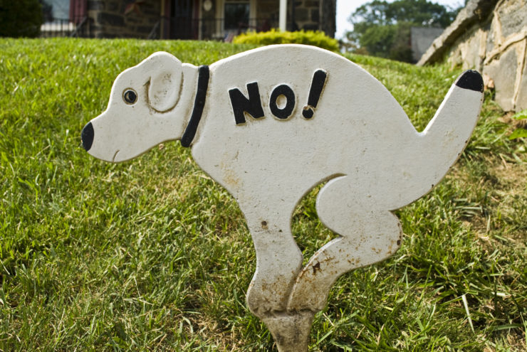 no dog poops sign in the park