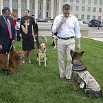 service dog school