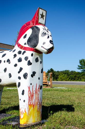 plush dalmatian fire dog