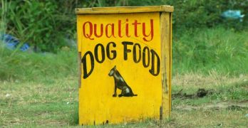 A roadside dog food container in Guyana