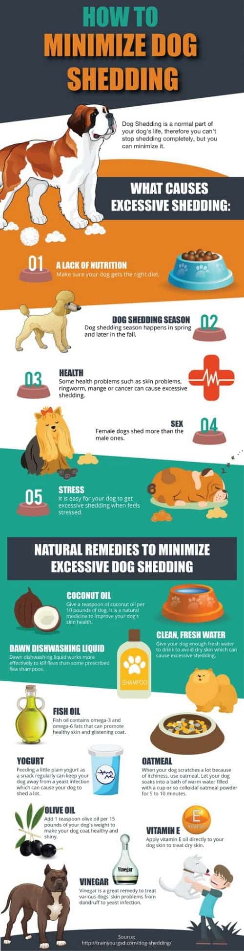 Infographics Minimize Dog Shedding Solutions