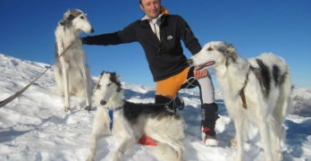 Three Borzoi dogs and a man on a snowy hill