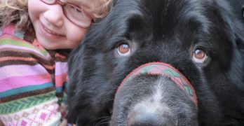 Little girl hugging a Newfoundland dog