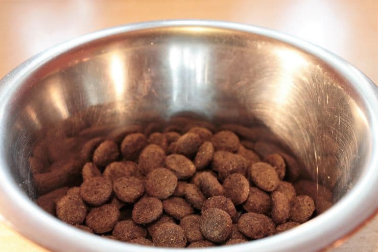 Dry dog food in a bowl