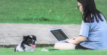 dog in college with a student