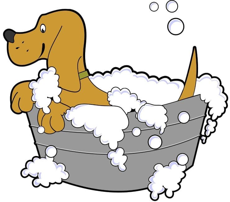 dog taking bath cartoon