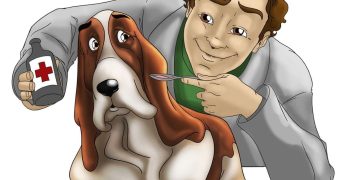 dog getting medicine from owner drawing