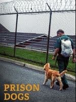 Prison Dogs documentary cover