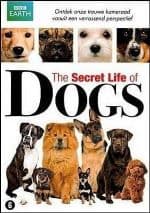 The Secret Life of Dogs documentary cover