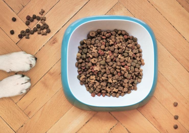 multicolored dog food in a bowl