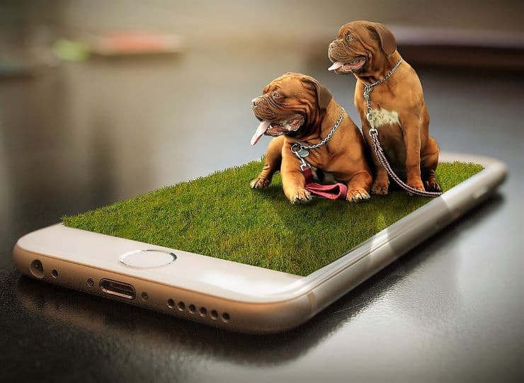 two dogs sitting on a smartphone gadget