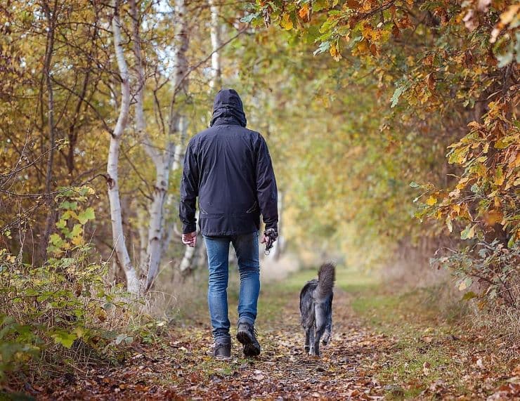 man walking a dog in fall wood