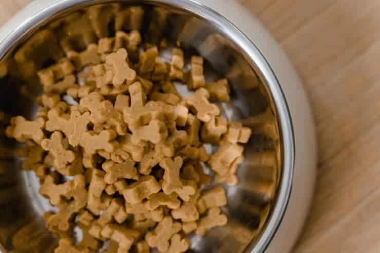 bowl filled with dry dog food