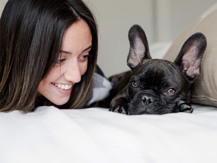 french bulldog's and woman's heads on a pillow