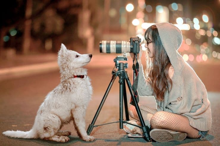 puppy posing for a professional photographer in the street