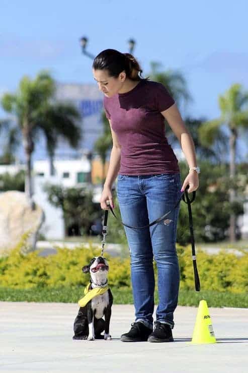 young woman training a small dog outside